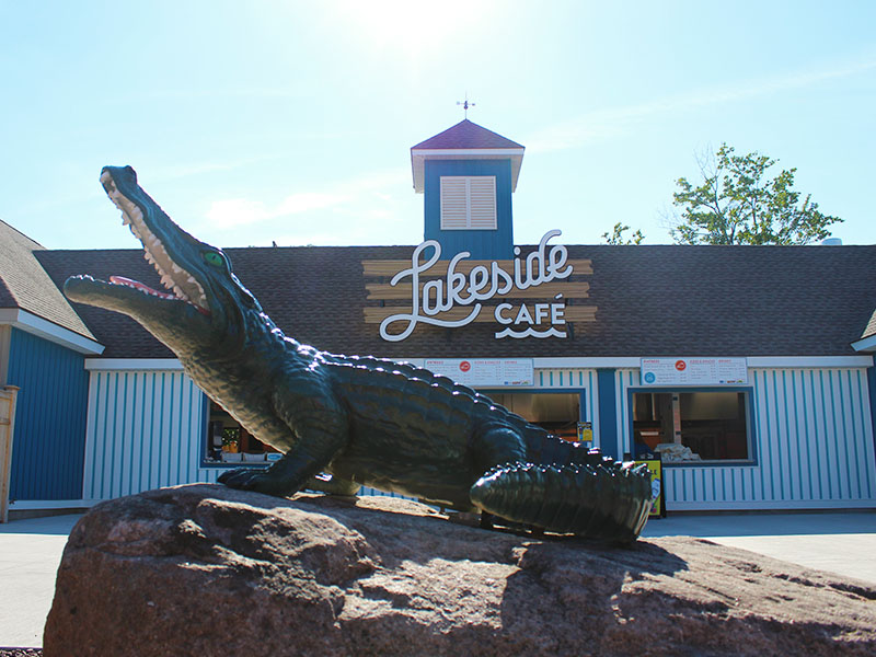 COFFEE GATOR: Bring the Coffeehouse Home