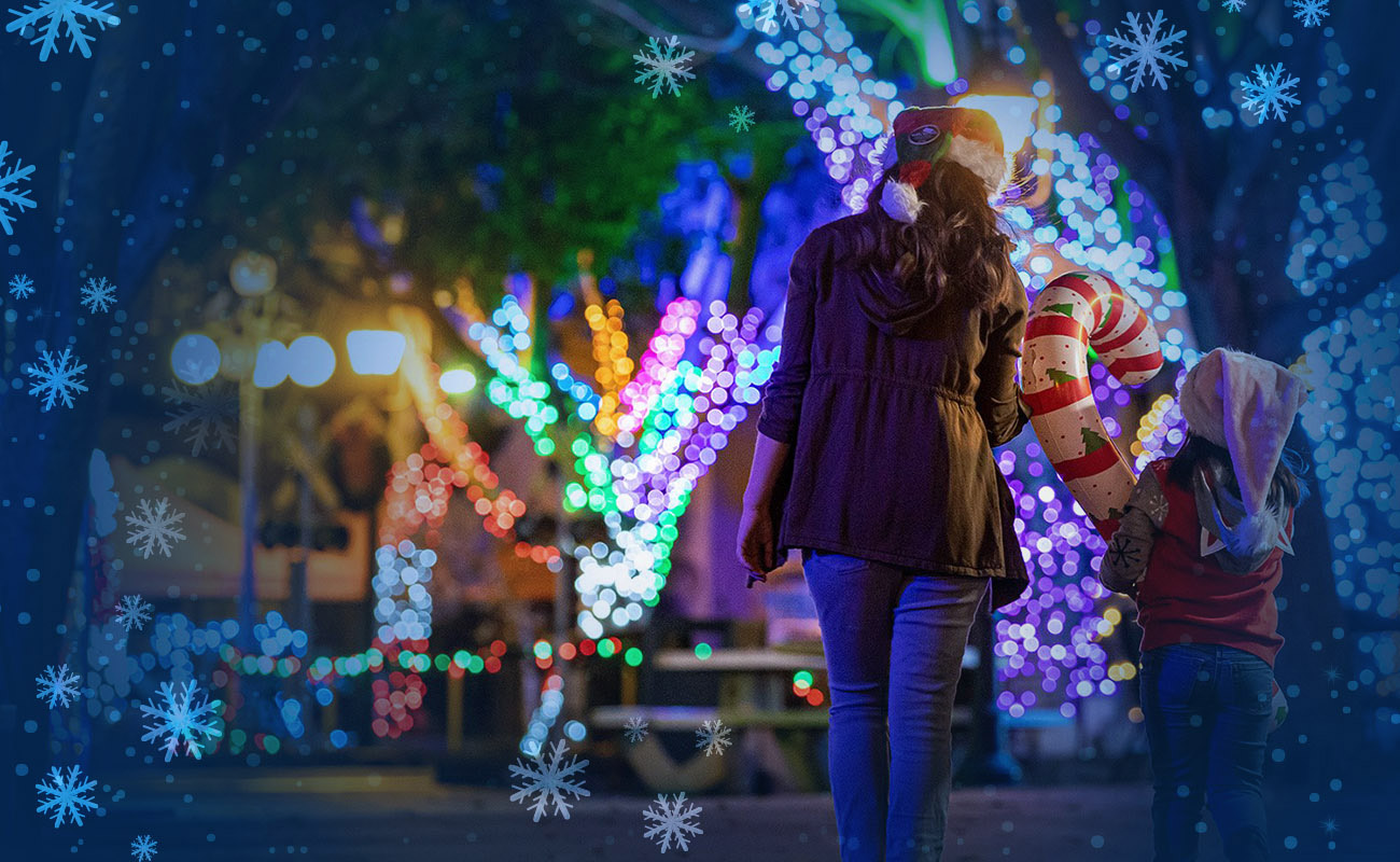 Holiday Lights