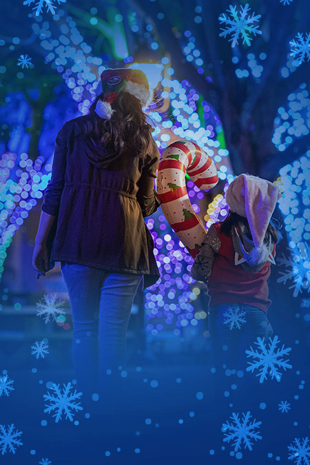 Holiday Lights