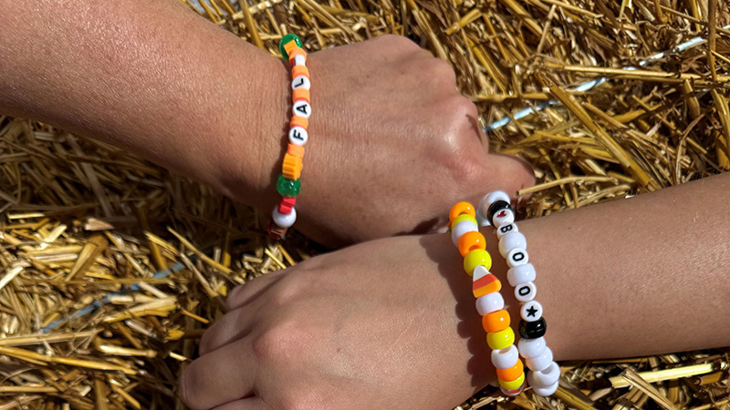 Friendship Bracelets