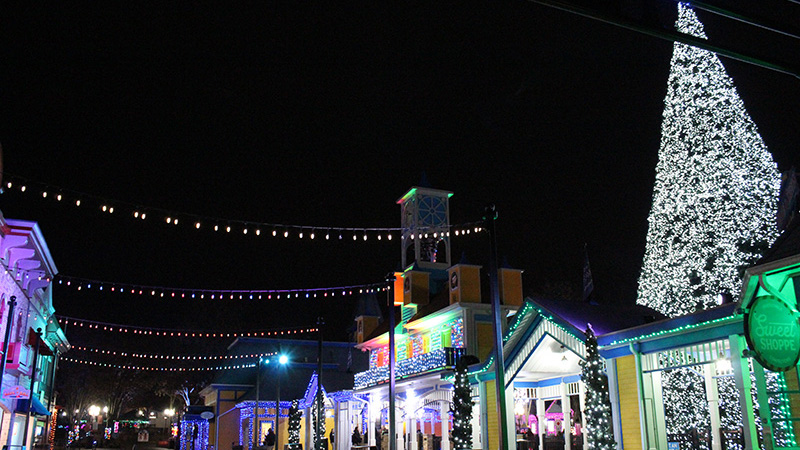 Holiday Lights